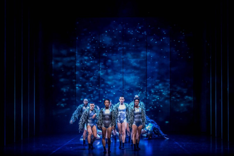 ©Wolfgang kurima Rauschning